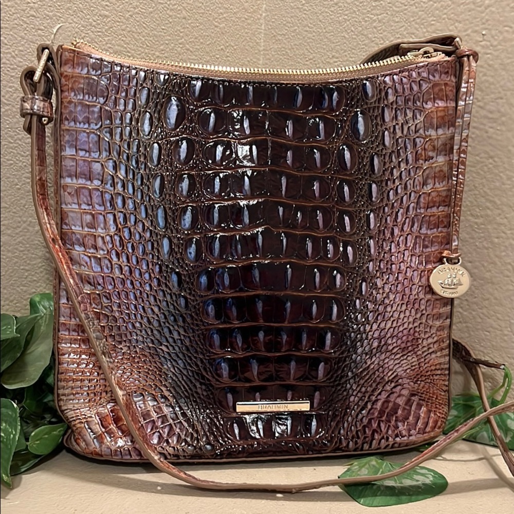 Brahmin Katie